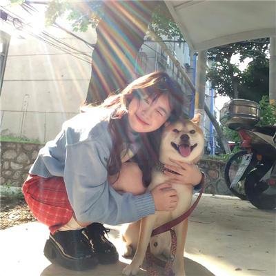 半生风雨长出羽翼